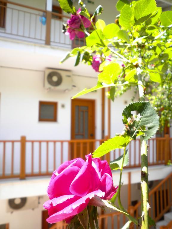 Kostas Studios II Vasiliki  Ngoại thất bức ảnh